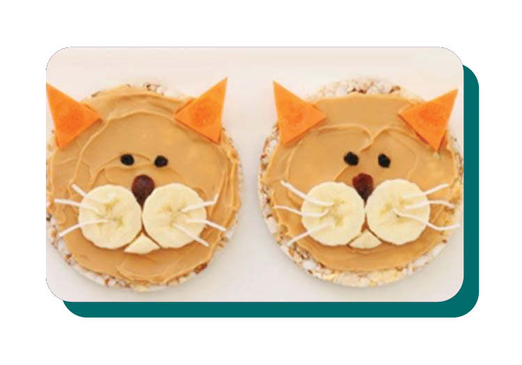 CAT RICE CAKES