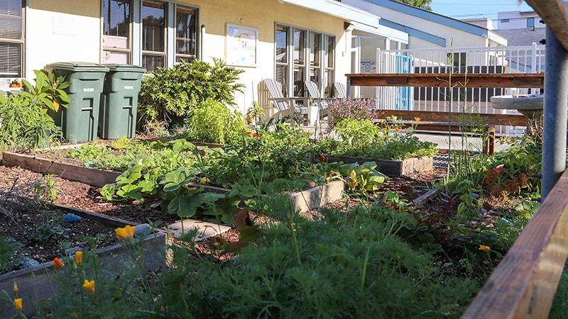 garden