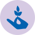 CAAVE Compassion Icon CAAVE Compassion Icon